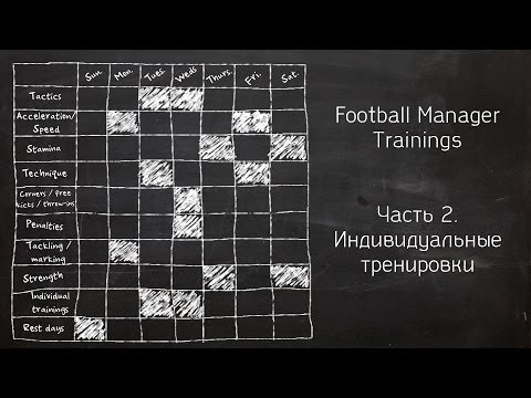 Видео: О тренировках. Выпуск 02: Индивидуальные тренировки