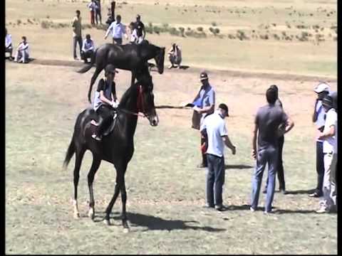 Видео: Скачки Буйнакск 09.05.2012 год