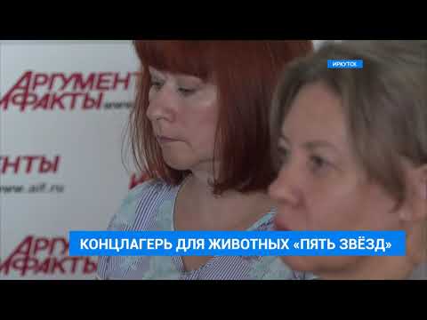 Видео: Бизнес на бездомных животных