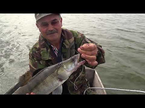 Видео: Пуля отлично ловит рыбу. Это супер приманка.Fish with me!