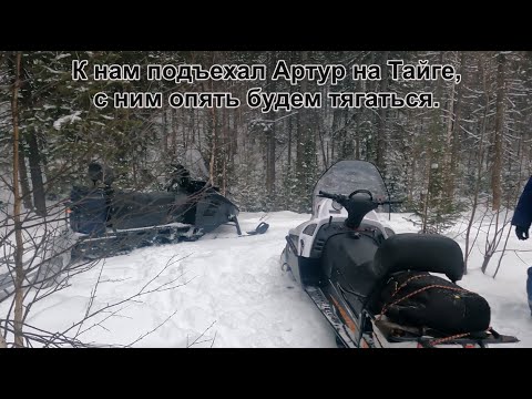 Видео: Снегоход СМ- 001 Тайга Варяг- 550. Тянем сани в гору с пассажирами.