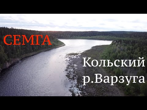 Видео: Рыбалка на Кольском полуострове! Ловля СЕМГИ на реке ВАРЗУГА!