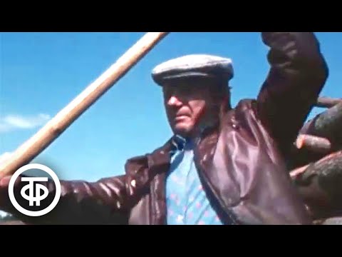 Видео: Течет река Пинега. Фильм-путешествие (1983)