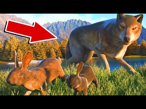Видео: ПРЕДАТЕЛЬ в СТАИ в The Wolf