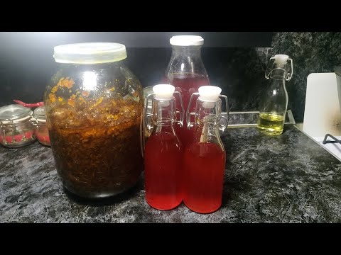 Видео: Как Приготовить ЭКОлогическое Облепиховое Масло В ДОМАШНИХ УСЛОВИЯХ!