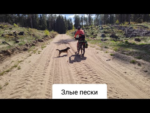 Видео: Путешествие по Белоруссии на велосипеде 2 серия // Витебская область