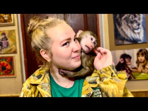 Видео: ЭТО НАДО ВИДЕТЬ, как Анфиса КО МНЕ ПОДЛИЗЫВАЕТСЯ, что бы я взяла ее ПОГУЛЯТЬ! 