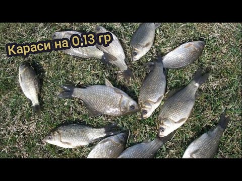 Видео: Отличный клёв карася в марте на мормышинг!!!