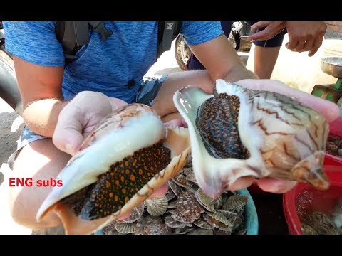 Видео: Странная ракушка Мело! Моллюски по местному Вьетнамскому рецепту!