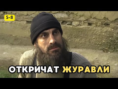 Видео: НЕВОЗМОЖНО ОТОРВАТЬСЯ! ЭТОТ ФИЛЬМ СМОТРИТСЯ НА ОДНОМ ДЫХАНИИ! Откричат журавли, 5-8 серии