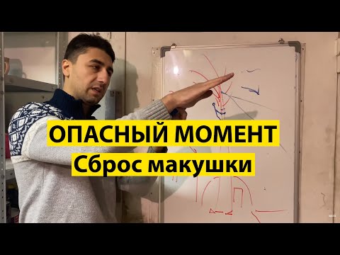 Видео: Самый опасный момент в работе Арбориста. Сброс макушки.