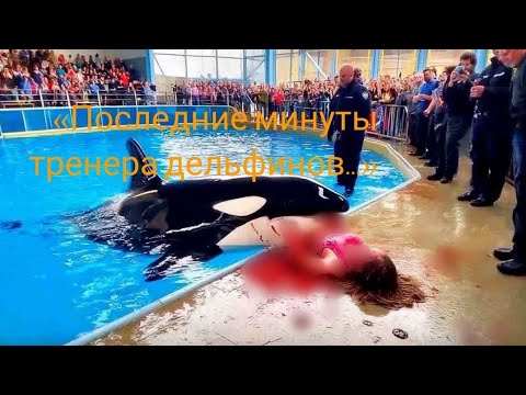 Видео: УЖАСНЫЕ ПОСЛЕДНИЕ МОМЕНТЫ ТРЕНЕРА ДЕЛЬФИНОВ | История Клары Уитмор