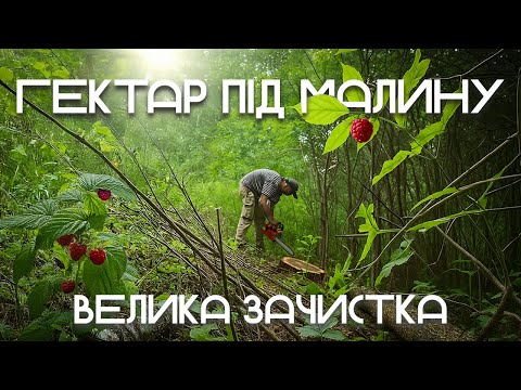Видео: Перший гектар малини у 21 рік: готую землю під саджання
