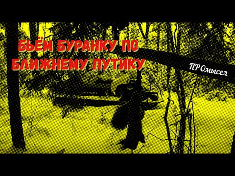 Видео: ПРОбиваем буранку по ближнему путику.