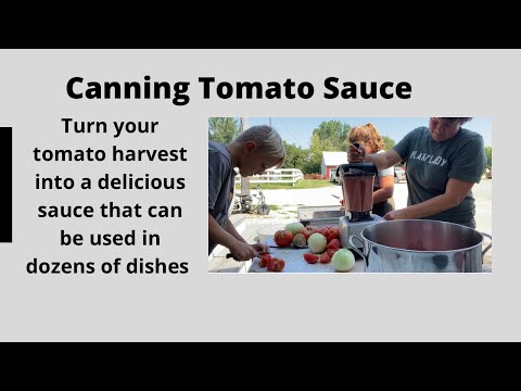 Видео: Консервирование томатного соуса