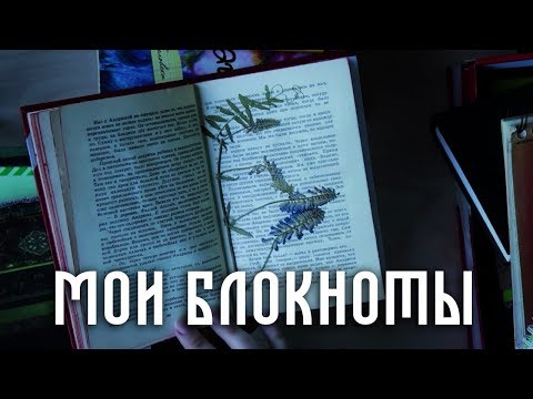 Видео: все мои творческие блокноты