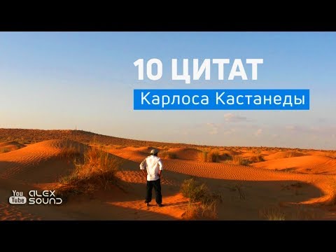 Видео: 10 ЛУЧШИХ ЦИТАТ КАРЛОСА КАСТАНЕДЫ