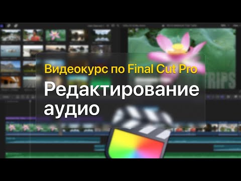 Видео: 🎹 Редактирование аудио — курс уроков по Final Cut Pro