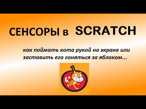 Видео: Сенсоры: Scratch для начинающих