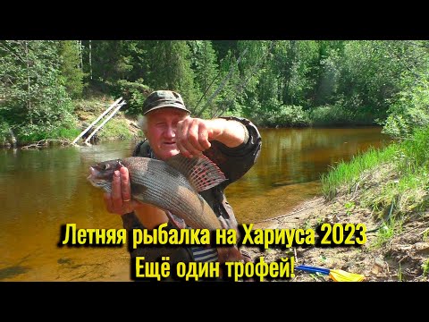 Видео: Летняя рыбалка на Хариуса 2023. Ловля крупного Хариуса на удочку. Ещё один трофей. Сплав по реке.