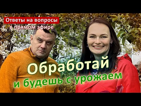 Видео: Обязательно обработай этим сейчас!