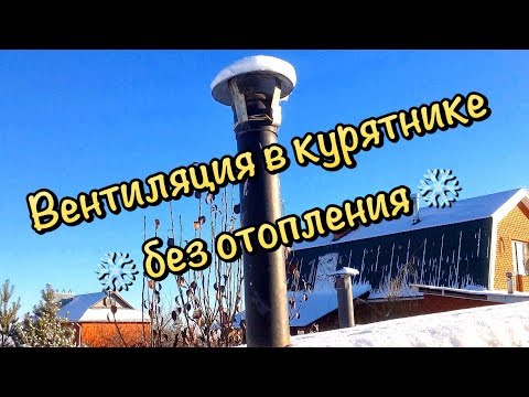 Видео: Вентиляция в курятнике без отопления / Зима! /  Влажность в курятнике / Птичник зимой