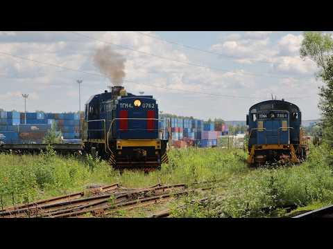Видео: Маленькие труженики стальных магистралей. Тепловозы ТГМ4Л-2964 и ТГМ4Б-0762 выполняют маневры