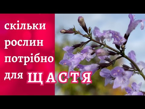 Видео: Ревізія у квітнику • Тонкощі вибору рослин 