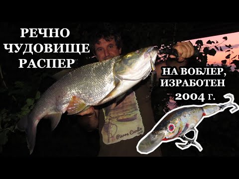 Видео: Речно Чудовище Распер на Воблер, Направен през 2004 г./ River Monster ASP on Lure Handmade in 2004
