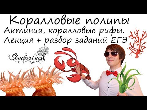 Видео: Коралловые полипы. Актиния, коралловые рифы. Лекция и разбор заданий ЕГЭ