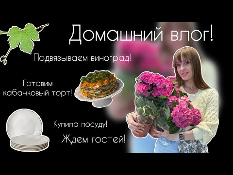 Видео: Домашний влог.Встречаем гостей. Купила новую посуду. Готовлю кабачковый торт.Выбираю цветы для дома.