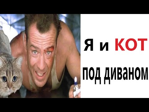 Видео: Приколы! Я И КОТ ПОД ДИВАНОМ - МЕМЫ!!! Смешные видео от – Доми шоу!