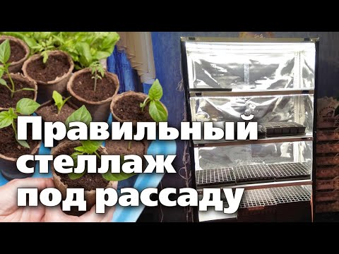 Видео: Как самому сделать стеллаж для рассады. Растения будут довольны!