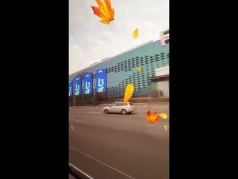 Видео: 27 сентября 2025 г.