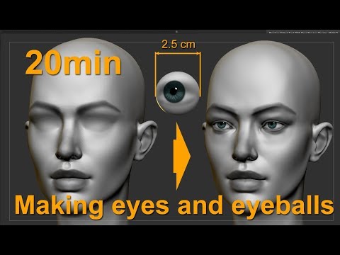 Видео: Глаза и глазные яблоки для чайников :). Пропорции, моделирование и рисование.