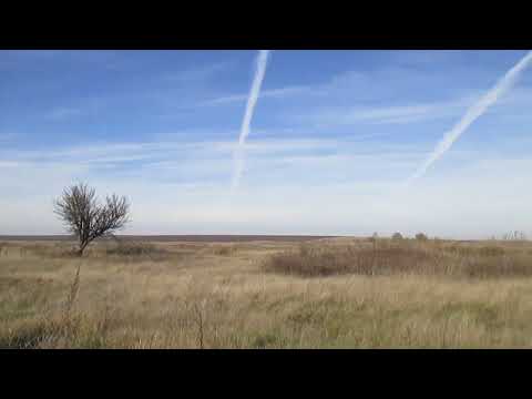 Видео: Опустевшая деревня Новогривки, Калининский район.