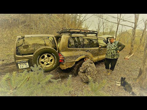 Видео: ВЫЕХАТЬ С ТАЙГИ НЕ СМОГЛИ, ВЫЗВАЛИ СПАСАТЕЛЯ))