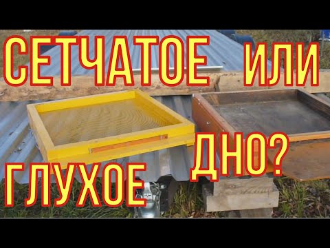 Видео: Сетчатое или глухое дно для улья?