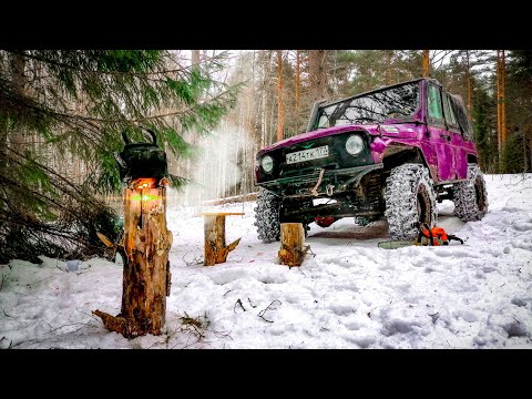 Видео: В глухих лесах Тверской области