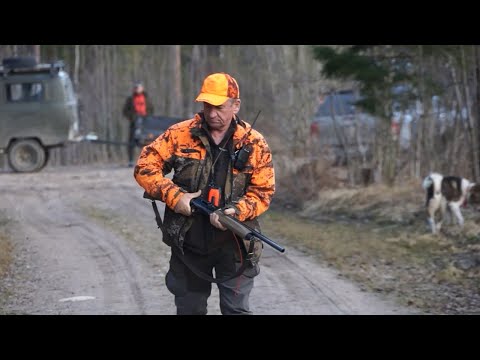 Видео: Ну погнали) Охота на медведя сезон 2024г.