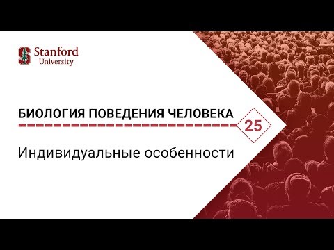 Видео: Биология поведения человека: Лекция #25. Индивидуальные особенности [Роберт Сапольски. Стэнфорд]