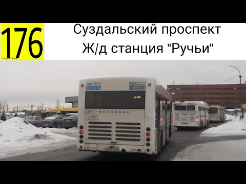 Видео: Автобус 176 "Суздальский проспект - Железнодорожная станция "Ручьи"