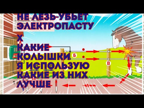 Видео: какие колья для электропастуха лучше из пластика-деревянные