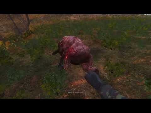 Видео: NLC - Improved (мастер)#61🐜