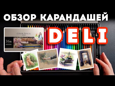 Видео: Обзор цветных карандашей Deli