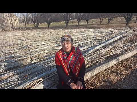 Видео: Карача айлында каракчылык.