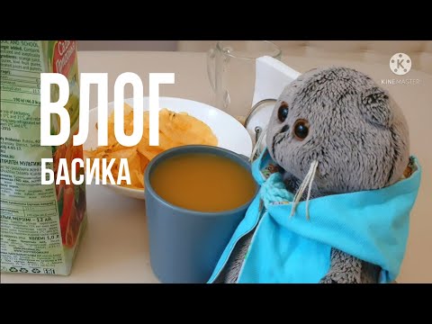 Видео: ВЛОГ | ДЕНЬ БАСИКА