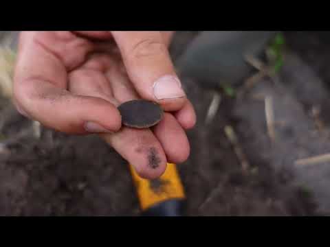 Видео: Minelab Manticore первое включение и общий тест на поле (IDC)