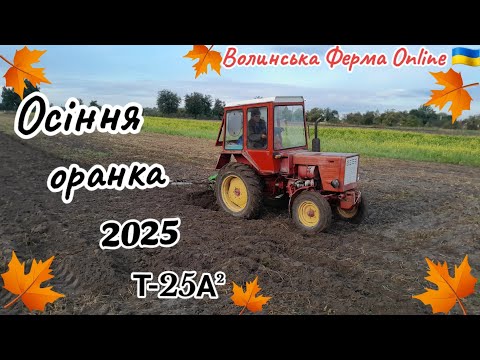 Видео: Т-25А Осіння оранка 2025🍁🍁🍁🍁ВОЛИНЬ🇺🇦🍁🍁🍁