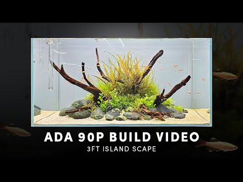 Видео: ADA 90P - ОСТРОВНОЙ ПЛАНШЕТ - ПОШАГОВАЯ СБОРКА - 90 СМ 3 ФУТА АКВАРИУМ С РАСТЕНИЯМИ